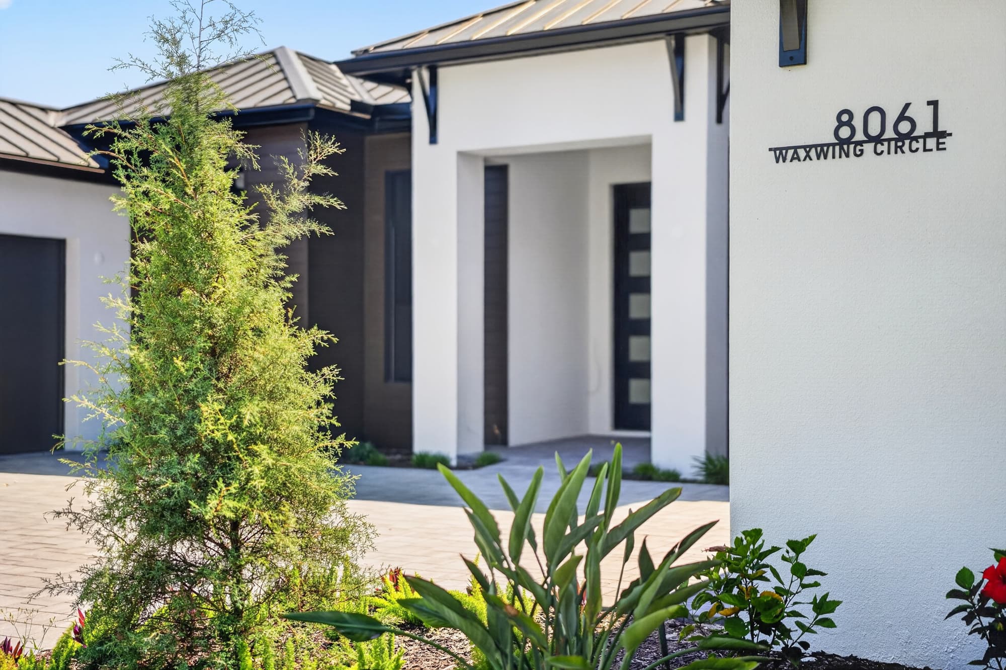 Contemporary exterior framed by palms